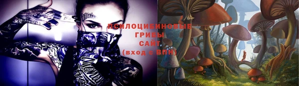 PSILOCYBIN Богородицк