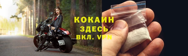 PSILOCYBIN Богородицк