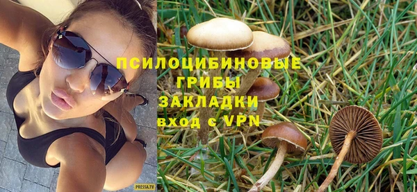 хмурый Богородск