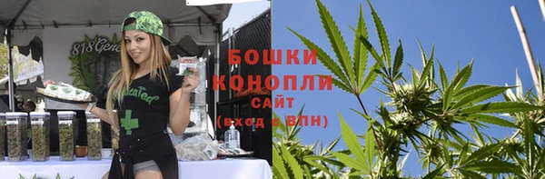 PSILOCYBIN Богородицк