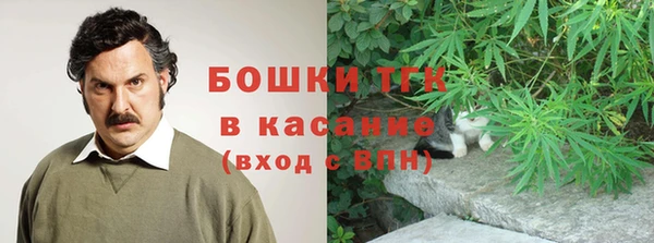 PSILOCYBIN Богородицк