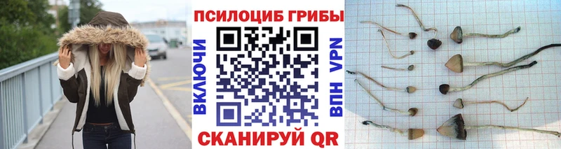 мориарти как зайти hydra вход Мыски Галлюциногенные грибы прущие грибы