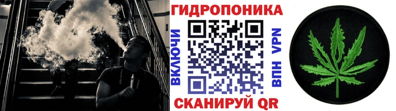 Конопля Ganja  Мыски 